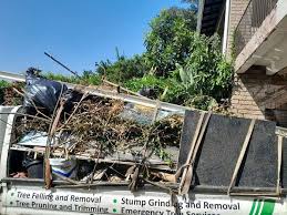 Best Yard Waste Removal  in Westmere, NY